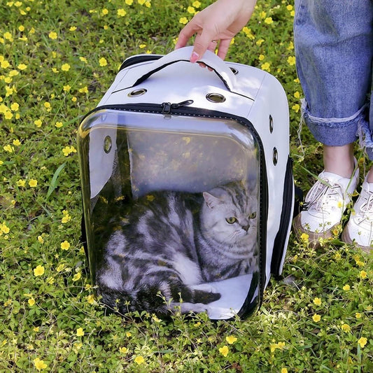 حقيبة ظهر للقطط، حقيبة ظهر شفافة للحيوانات الأليفة من البولي كربونات، تصميم مفتوح كبير على الجهة الأمامية مع وسادات للقدم